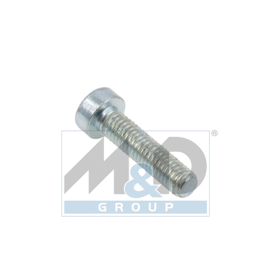 [981179] Bolzen/Schraube für Bosch Pumpen (Kit 25 Stk.)