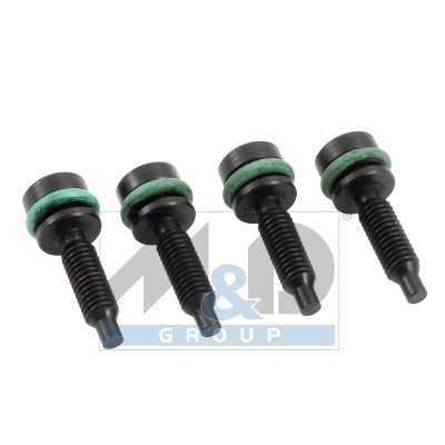 [981258] Bosch CP4-Pumpenschraube (4-teiliger Satz)
