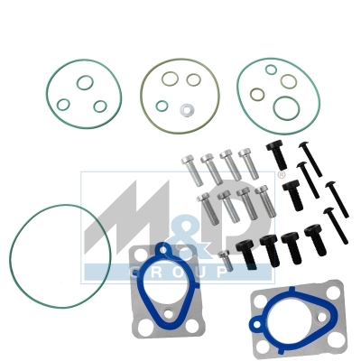 [981249] Reparatursatz für die Kraftstoffpumpe (Delphi)