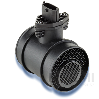 [BRM30041] LUFTMASSENMESSER