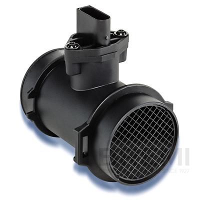 [BRM30101] LUFTMASSENMESSER