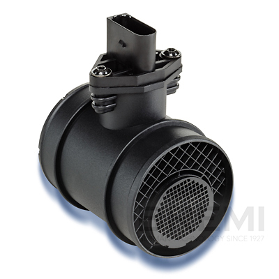 [BRM30125] LUFTMASSENMESSER