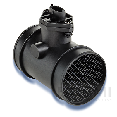 [BRM30180] LUFTMASSENMESSER