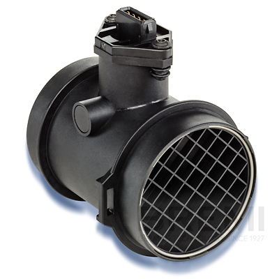 [BRM30199] LUFTMASSENMESSER