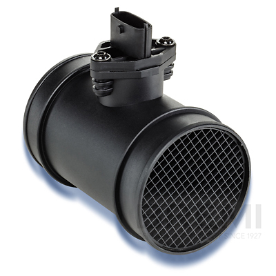 [BRM30206] LUFTMASSENMESSER