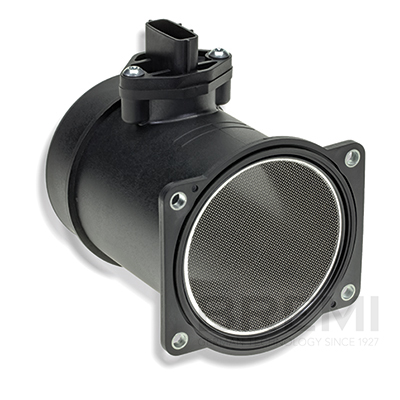 [BRM30381] LUFTMASSENMESSER