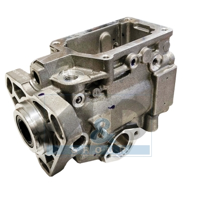 [981387] Reparatursatz für die Kraftstoffpumpe