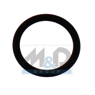 [98807] Seal Ring, Injector (kit 10 pcs)