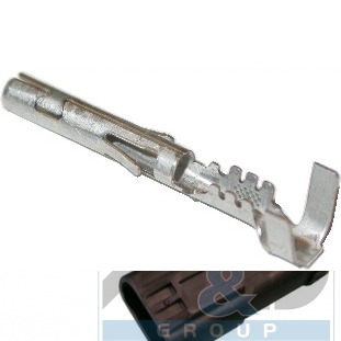 [81169] Borne femelle