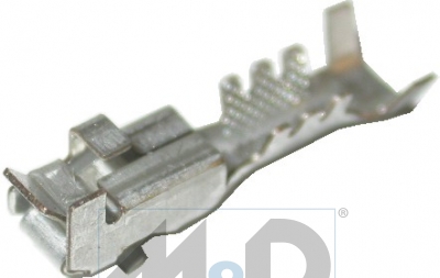 [81177] Borne femelle