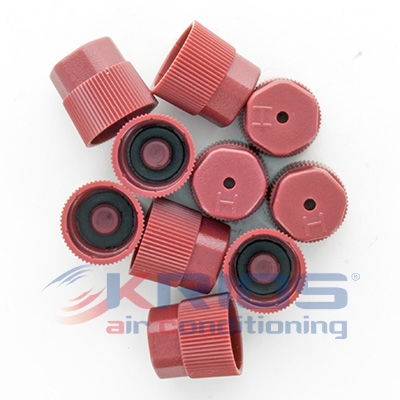 [K79033] PLUG VALVE HP R134a