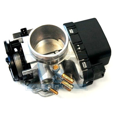 [89129] Throttle body