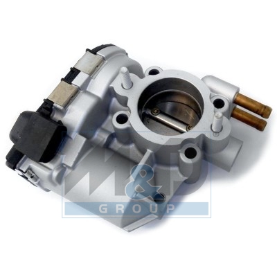 [89206R] Throttle Body