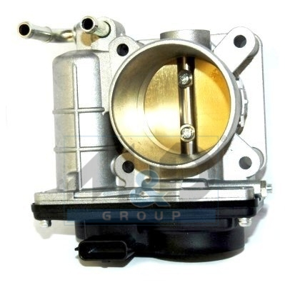 [89168] Drosselklappenstutzen