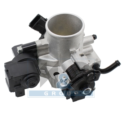 [89674] Throttle body