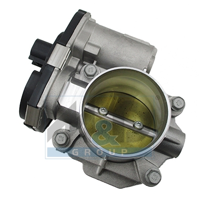 [89462] Throttle body