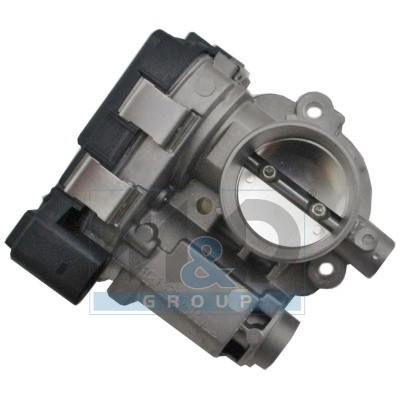 [89369] Boîtier papillon, injection