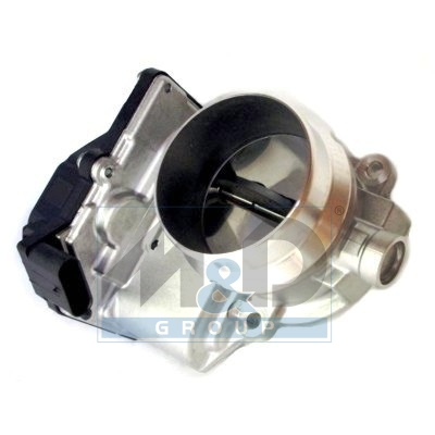 [89176] Throttle body