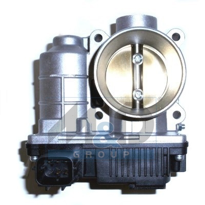 [89191] Boîtier papillon, injection