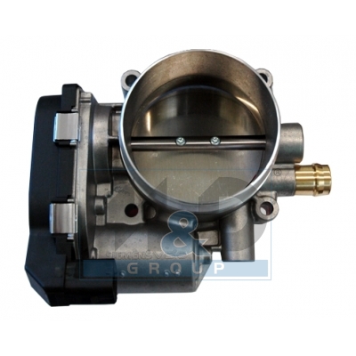 [89101] Throttle body