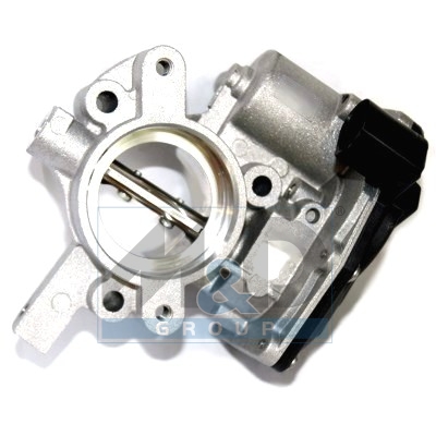 [89163] Boîtier papillon, injection