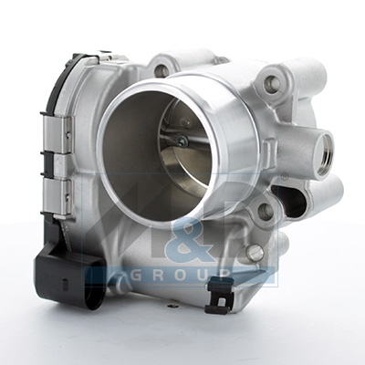 [89229] Throttle body