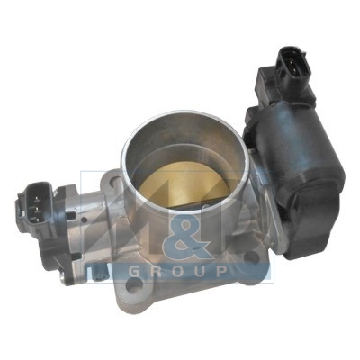 [89328] Boîtier papillon, injection