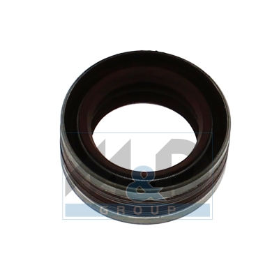 [98705] Cp4 pump gasket