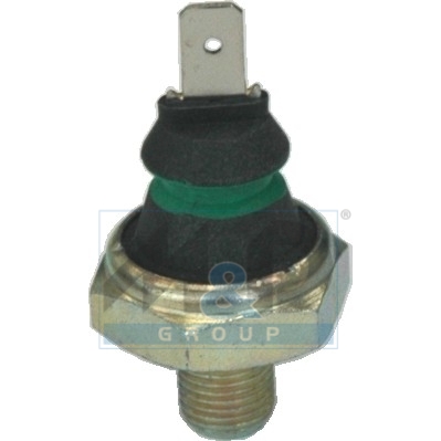 [72012] Oil pressure switches