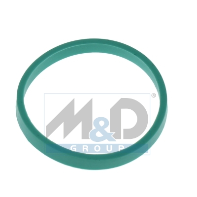 [016166] Intake manifold module gasket