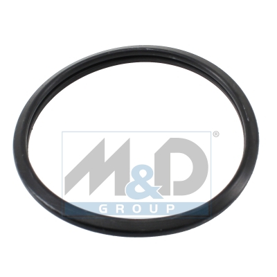 [01690] Thermostat Gasket