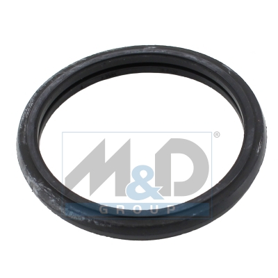 [016109] Thermostat Gasket