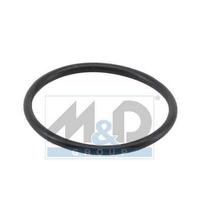 [01669] Dichtung, Thermostat