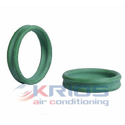 [K79221] ORING DOUBLE  D.E. 13