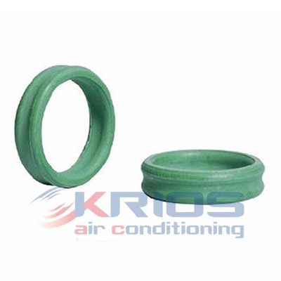 [K79220] ORING DOUBLE  D.E. 15.1