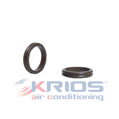 [K79261] DOUBLE O-RING PSA