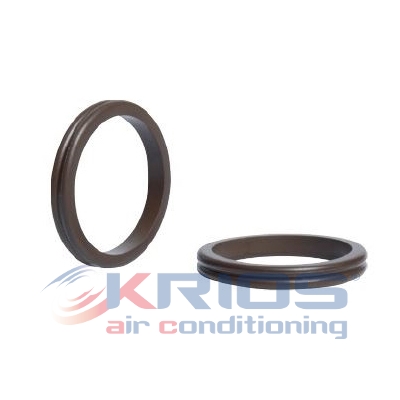 [K79262] DOUBLE O-RING RENAULT