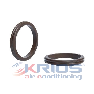 [K79263] DOUBLE O-RING RENAULT