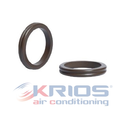 [K79264] DOUBLE O-RING RENAULT