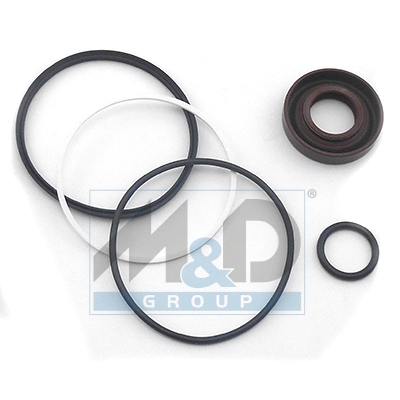 [37018] Kit de réparation de pompe hydraulique