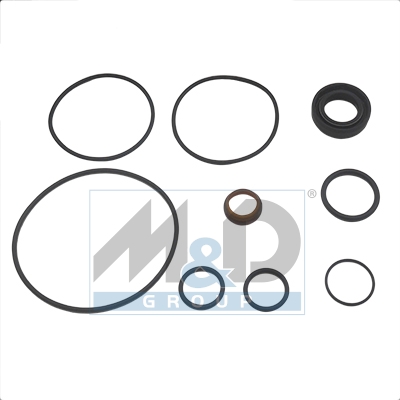 [37053] Dichtungssatz, Hydraulikpumpe