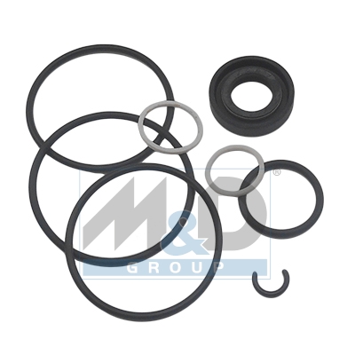 [37029] Dichtungssatz, Hydraulikpumpe
