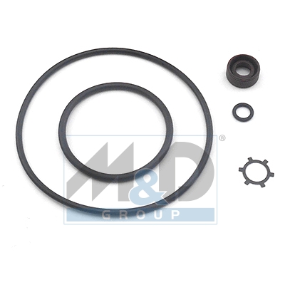 [37098] Dichtungssatz, Hydraulikpumpe