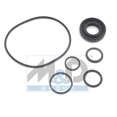 [37055] Dichtungssatz, Hydraulikpumpe