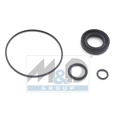 [37017] Dichtungssatz, Hydraulikpumpe