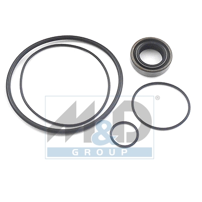 [37006] Gasket Set, hydraulic pump