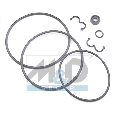 [37105] Dichtungssatz, Hydraulikpumpe