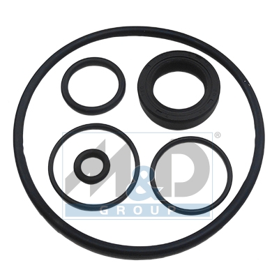 [37058] Dichtungssatz, Hydraulikpumpe