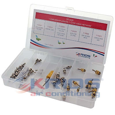 [K79341] KIT VALVOLE A SPILLO CON ESTRATTORE VALVOLA