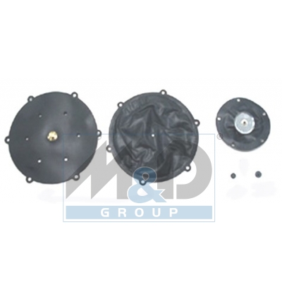 [13025] Kit Romano RAG86